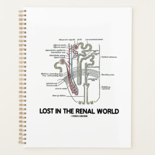Agenda Perdido No Rim Do Mundo Renal Nephron