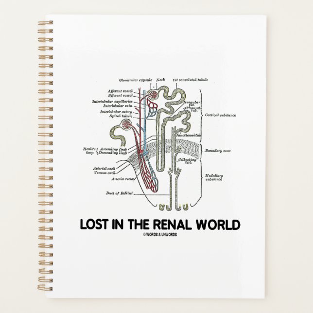 Agenda Perdido No Rim Do Mundo Renal Nephron (Frente)