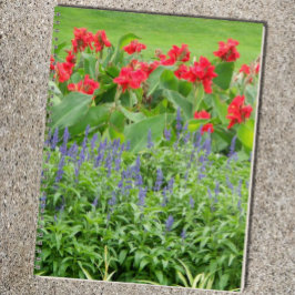 Agenda Personalizado