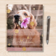 Pet Dog Photo Pink Ribbon Chic Nome da Lente Doura