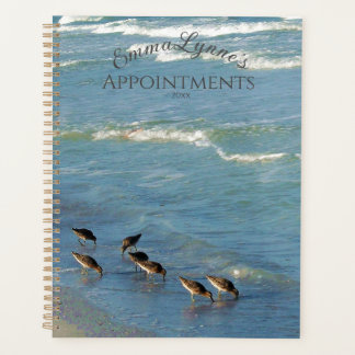 Agenda Photo Florida Shorebird Ocean Mensal E Semanalment