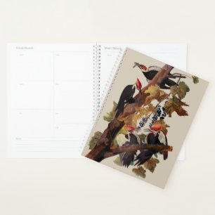 Agenda Pica-Pica-Pica-Pica Audubon Pileada