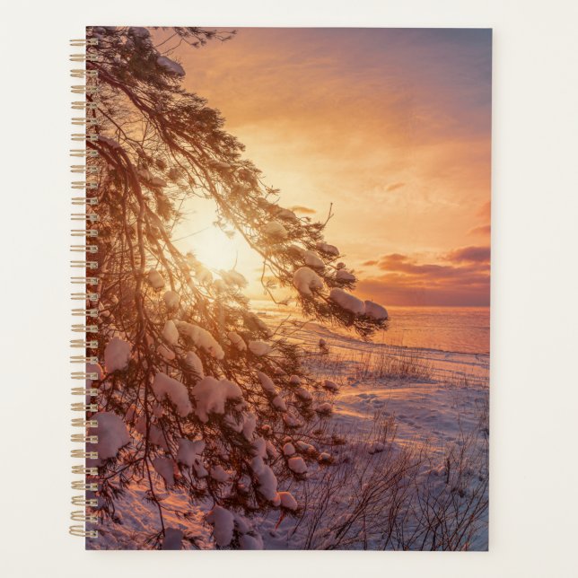 Agenda Pinheiros e pinheiros com neve (Frente)