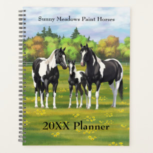 Agenda Pinto Negro Pinto Quarto Cavalos Na Pastagem De Ve
