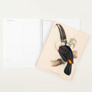Agenda Pintura Antiquada de Pássaros Toucanos