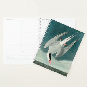 Agenda Pintura de aves selvagens do Ártico Tern Audubon
