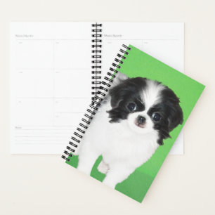 Agenda Pintura De Cachorro Japonês - Arte Original De Ca