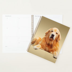 Agenda Pintura de cor de água do cão do recuperador de ou