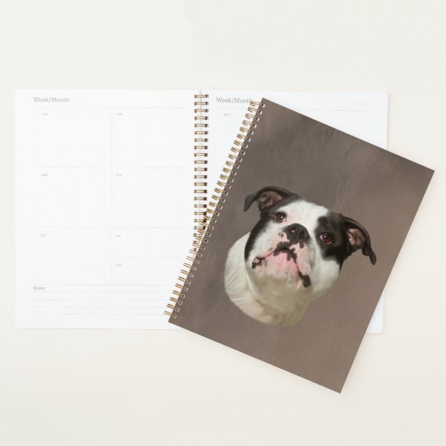 Agenda Pintura de Cores de Água do Buldogue (Exibição)