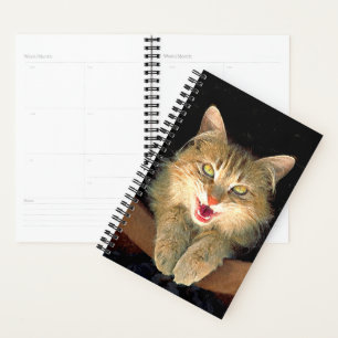 Agenda Pintura de Gatos Loucos - Arte de Gato Original Bo