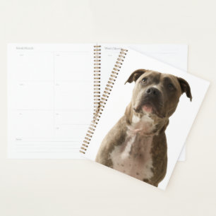 Agenda Pit Bull Dog Gift Bag