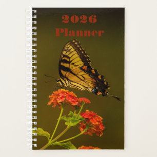 Agenda Planeador de Borboletas 2026