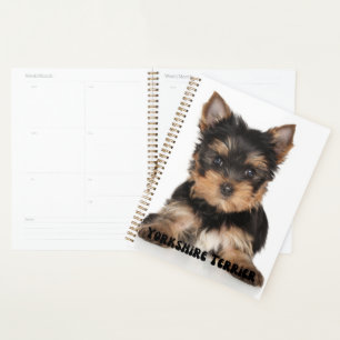 Agenda Planeador de Calendário do Cute Yorkshire Terrier 