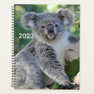 Agenda Planeador de coala australiano bonito 2023