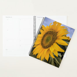 Agenda Planeador de Fechamento de Girassol
