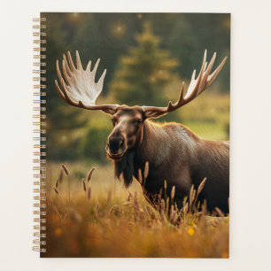 Agenda Planeador de Moose Simples