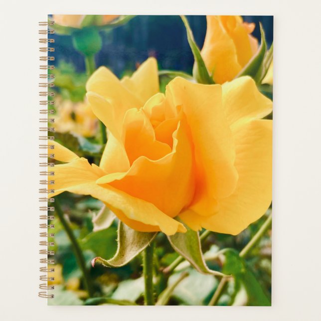 Agenda Planeador Espiral Amarelo (Frente)