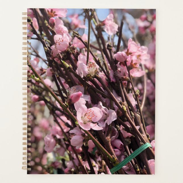 Agenda Planeador Floral (Frente)
