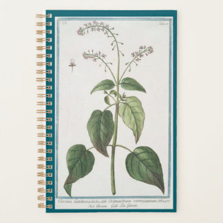 Agenda Planeador Nightshade do Enchanter