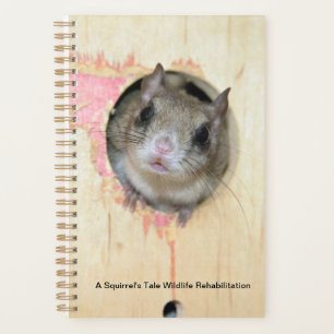 Agenda Planeador Pequeno