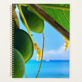 Agenda Planeador Tropical Beach Vibes | Inspirado em Cari