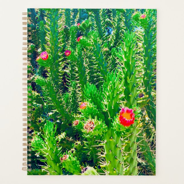 Agenda Planner da Flor Cactus (Frente)