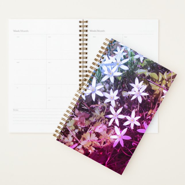 Agenda Planner da Flor White Star (Exibição)