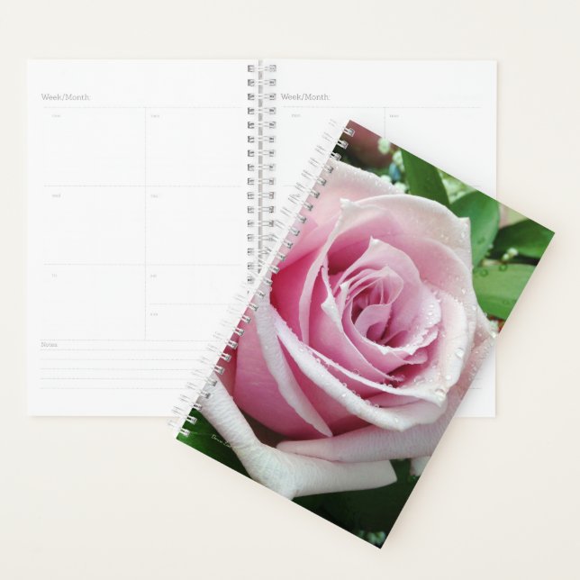 Agenda Planner de Dia Floral Rosa Rosa Rosa Rosa Rosa Ros (Exibição)