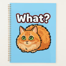 Planner do Meme do Gato Ruivo Chocado Engraçado Qu