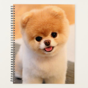 Agenda Planner Único Pomeraniano Encantador