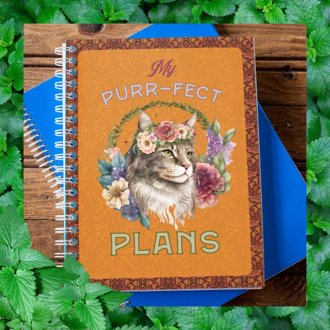 Agenda Planos puros de Maine Coon amarelado (Criador carregado)