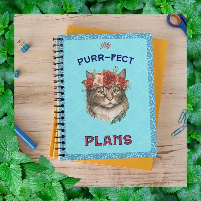 Agenda Planos puros de Maine Coon teal (Criador carregado)
