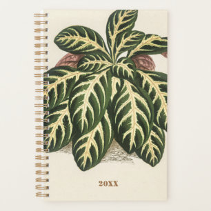 Agenda Plantas Personalizadas Durante 2022