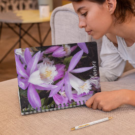 Agenda Plione Windowsill Orchids Floral