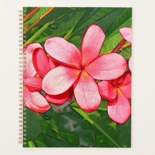 Agenda Plumeria