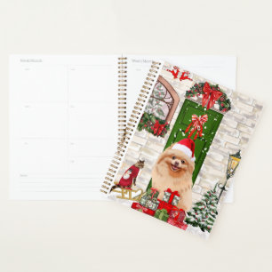 Agenda Pomerânia de Cão