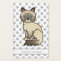 Ponto de Chocolate Tabby Birman/Ragdoll Patas & Te