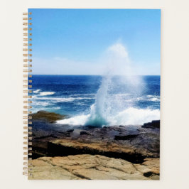 Agenda Ponto Escolar