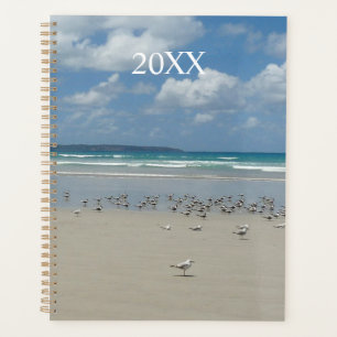 Agenda Praia com gaivotas