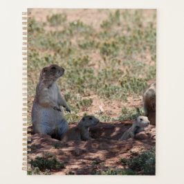 Agenda Prairie Dog Family