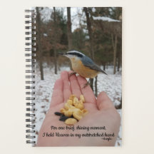 Prendi o céu na minha mão - do Bird Lover