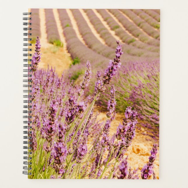 Agenda Presente de lavanda para o fuso superior de Viagem (Frente)