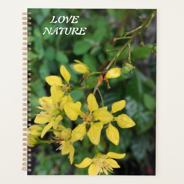 AGENDA PRESENTE PARA AMOR NATURAL COM FLORES (Frente)