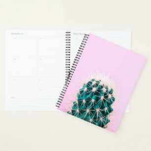 Agenda Prickley Cactus a Rosa