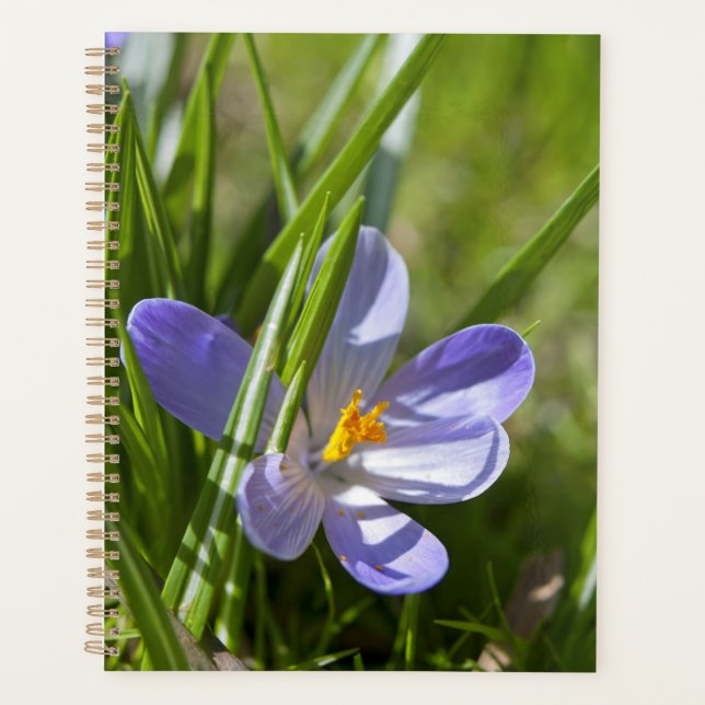 Agenda Primavera (Frente)