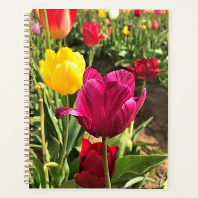 Agenda Primavera Tulips, Oregon (Frente)