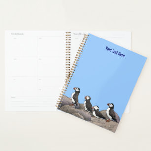 Agenda Puffins Atlântico