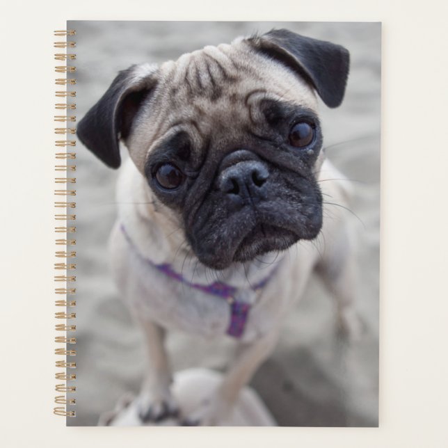 Agenda Pug Closeup (Frente)