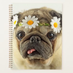 Agenda Pug com Daisy Crown