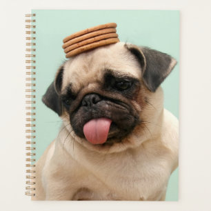 Agenda Pug Quer Tratamentos